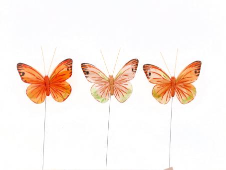 Schmetterling Feder 3tone pastell a Draht D9,5cm
